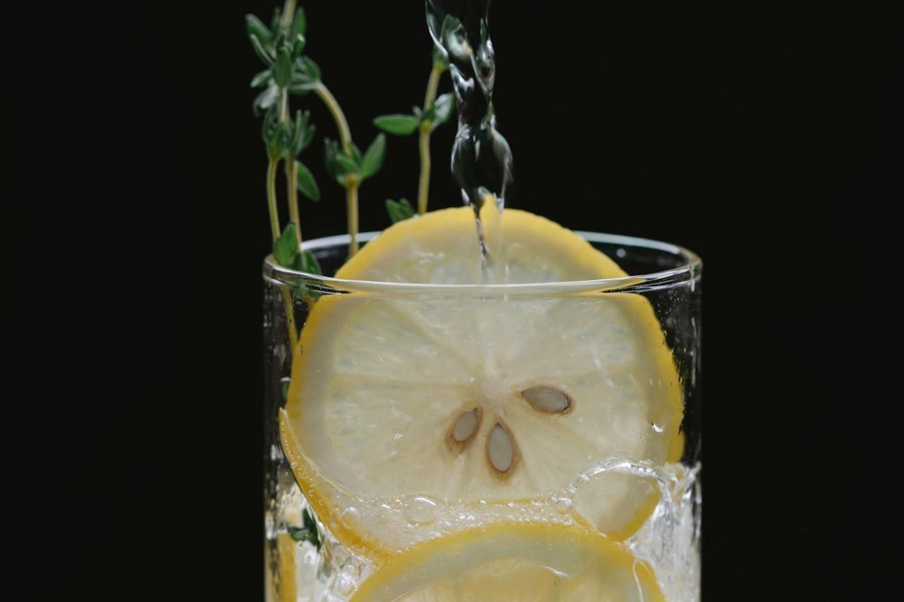 Alcoholvrije Gin-Tonic